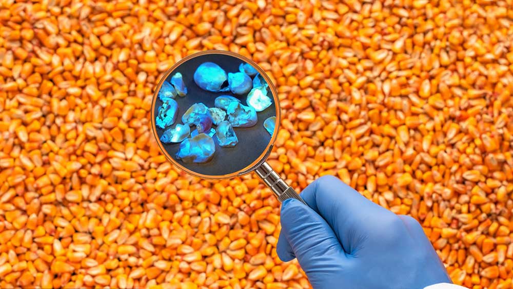 Sortiermaschine für Mais-Aflatoxin