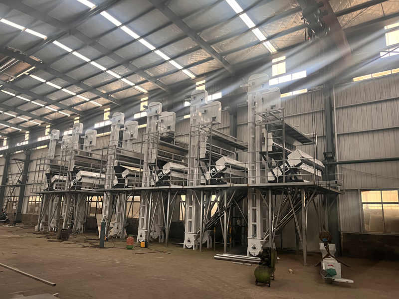 Plastiksortiermaschine
