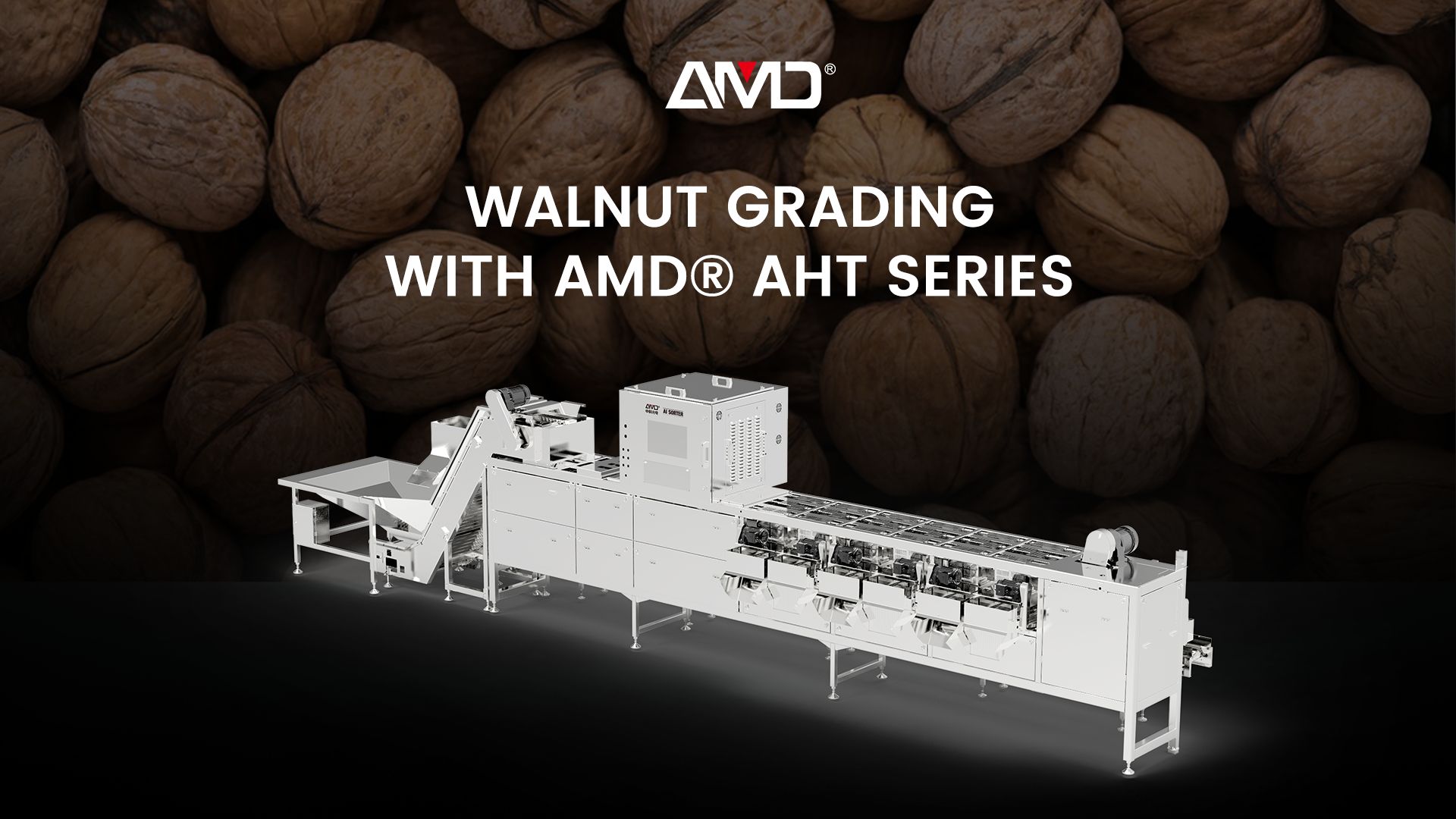 AMD® AHT-Serie | Walnuss-Kalibrierungsmaschine für Walnüsse mit Schale