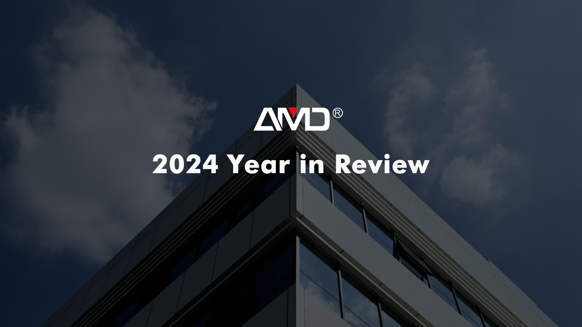 AMD Sorting Jahresrückblick 2024