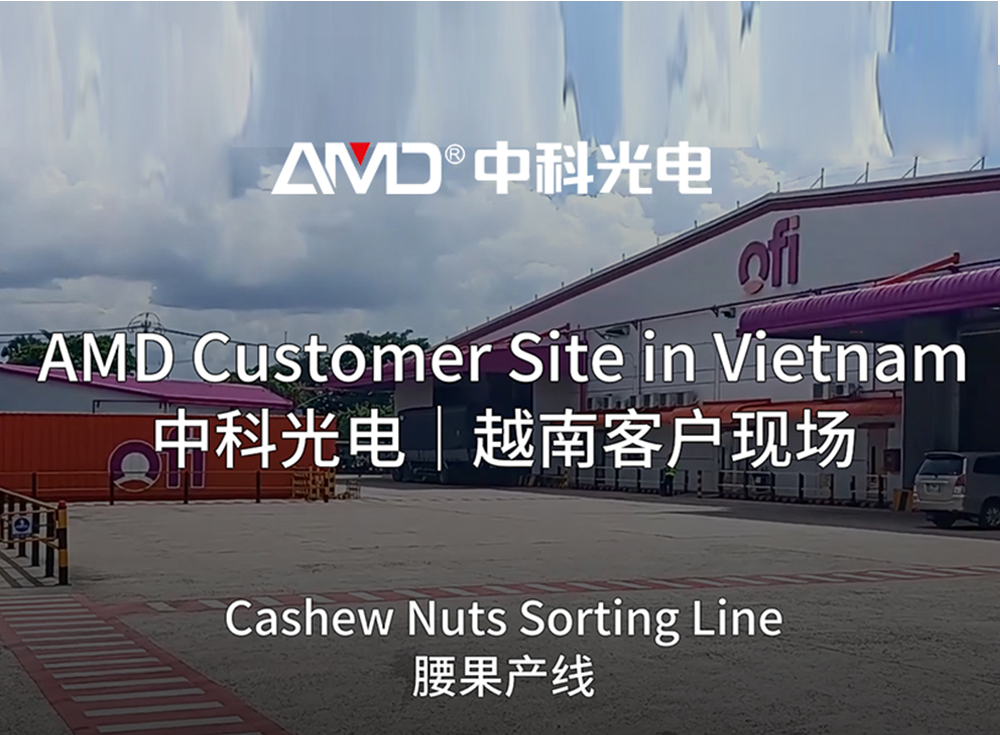 Vietnamesischer Cashew-Verarbeiter verbessert die Produktion mit AMD® Sortiertechnologie