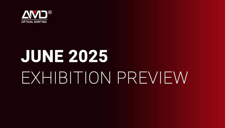 Treffen Sie AMD SORTING auf globalen Ausstellungen im Juni 2025