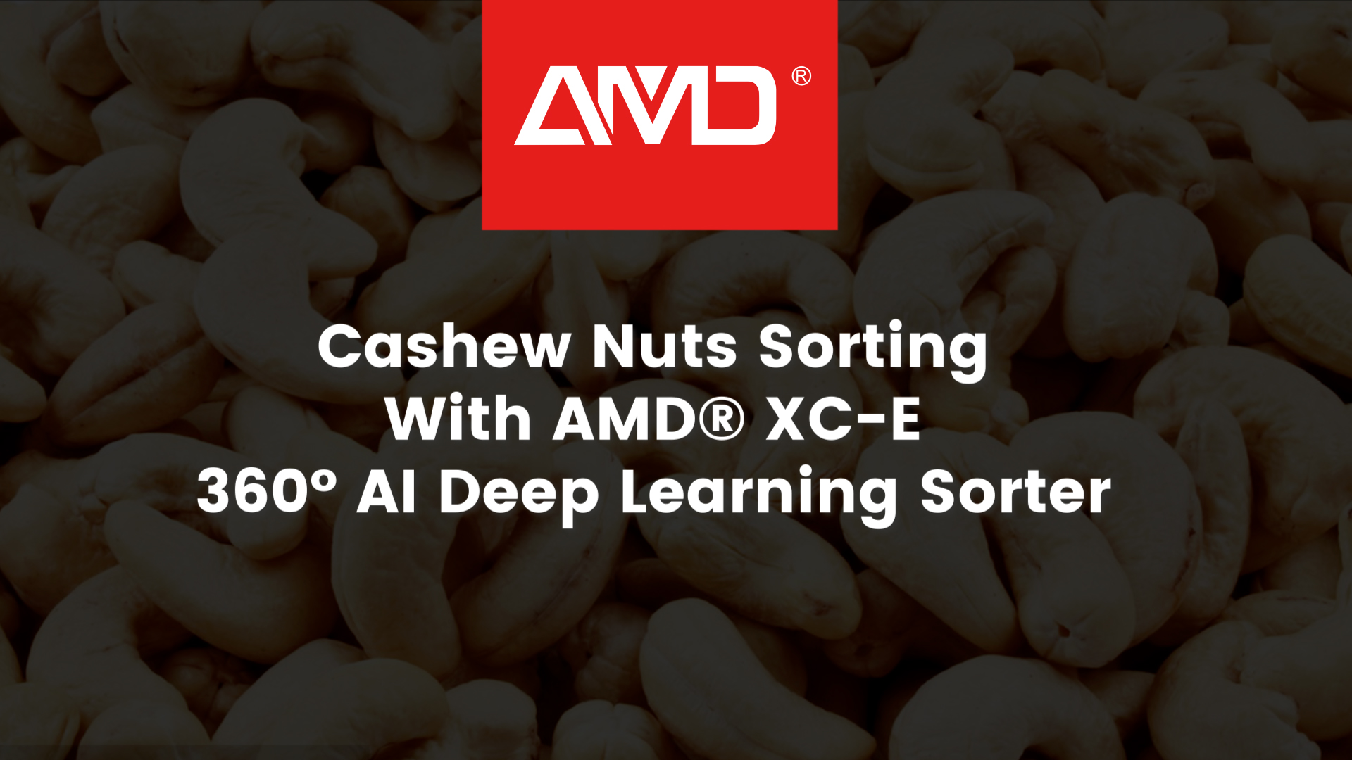 AMD® XC-E KI-Sortierer | Demonstration der Cashewnuss-Sortierung